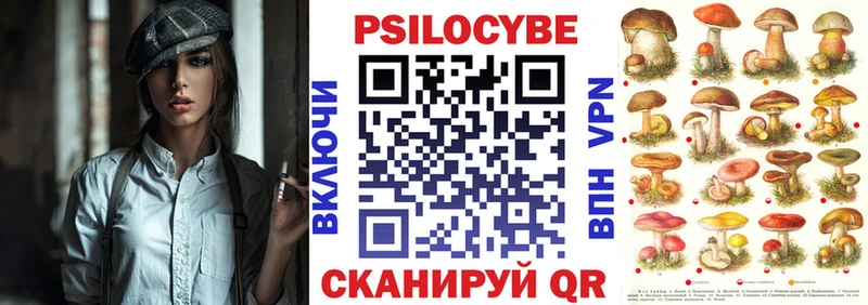 Купить закладки  Закаменск  Галлюциногенные грибы мухоморы 